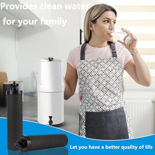 Water Filter Replacement for Berkey® BB9-2® Gravity System - Image 7