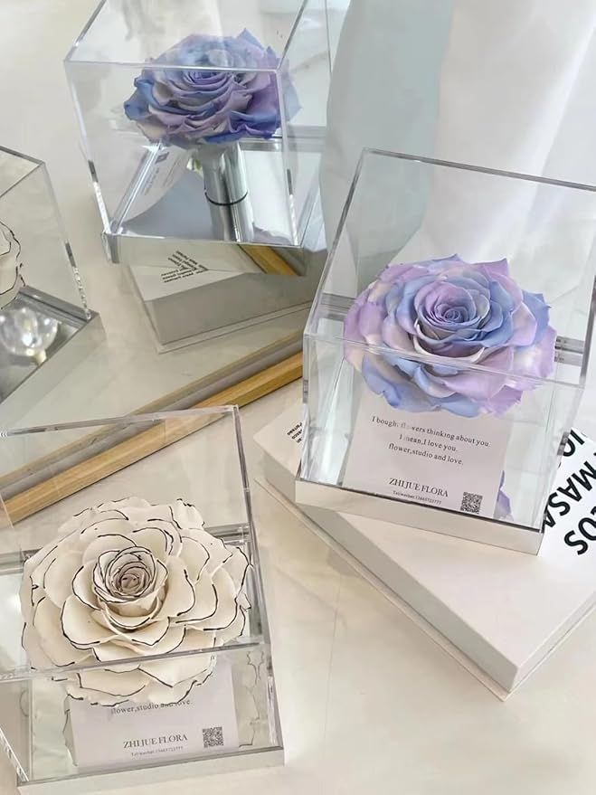 KissYou Acrylic Box Large Clear Display Boxes with Lids 2 Packs Party Decoration Plastic Square Cube Christmas Candy Boxes