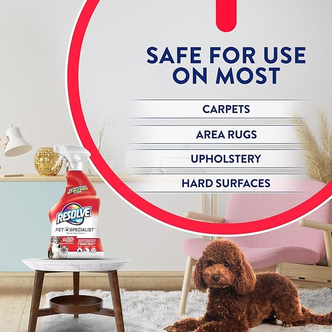 Resolve® Upholstery & Multi-Fabric Spot & Stain Remover 22 oz. + Stain & Odor Remover 22 oz