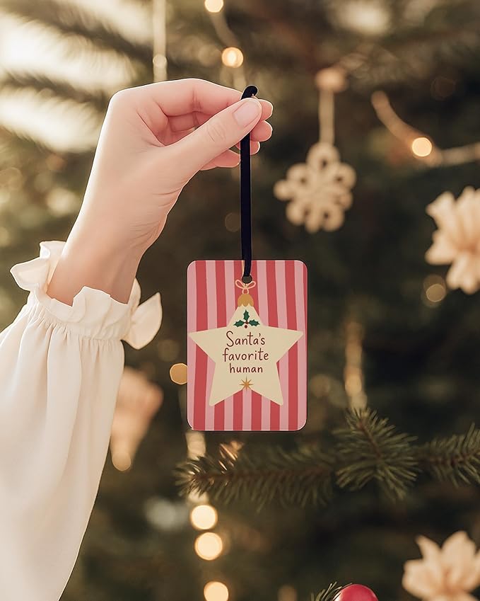 Pink and Red Christmas Car Air Freshener 4 Pcs, Hohoho Preppy Xmas Santa Humorous Hanging Air Freshener for Cars Closet Drawer Books, Girly Christmas Car Accessories Mirror Decor for Women