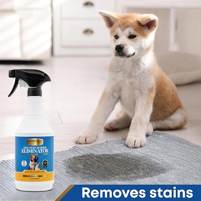 MASTERGUARD Oxy-Powered Stain & Odor Eliminator – Water-Based, Non-Toxic Spray for Clothing, Upholstery, Rugs & Carpets – Removes Wine, Urine, Blood & Odors – Safe for Kids & Pets