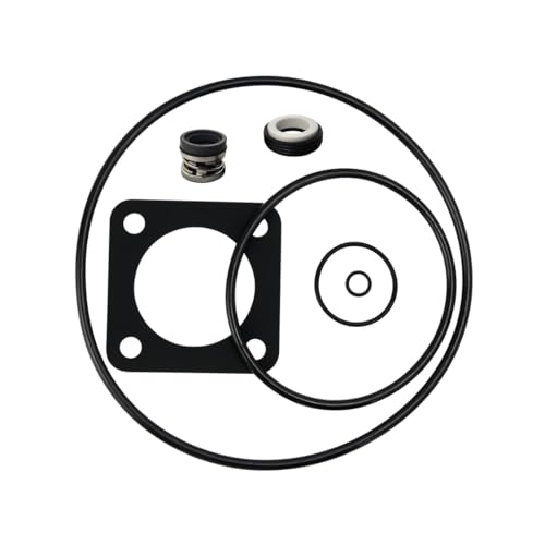 O-Ring Replacement Kit (1998 to Present) for Sta-Rite® P2RA & P2R - Image 2