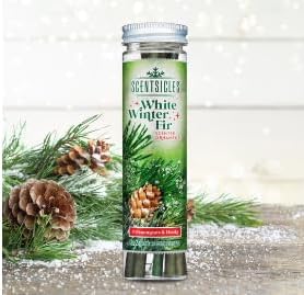Scentsicles White Winter Fir and O Christmas Tree Scented Christmas Ornaments with Hooks - 2 Pack (2 Bottles, 12 Sticks Total)