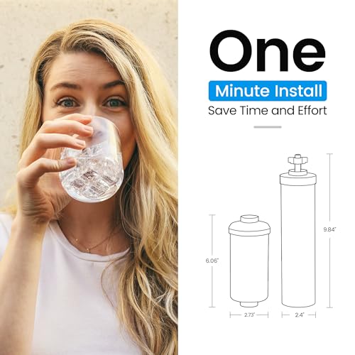 Filterlogic Gravity Water Filter, Replacement for Berkey® BB9-2® - Image 3