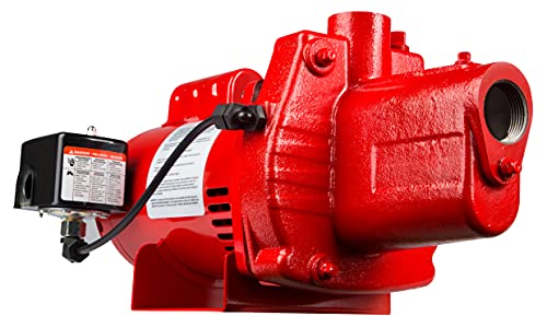 Red Lion RJS-100-PREM 1 HP, 23 GPM - Image 4