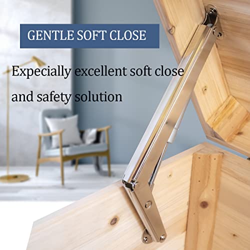 250N Heavy Duty Soft Close Lid Support Hinge, Chest Hinges - Image 4