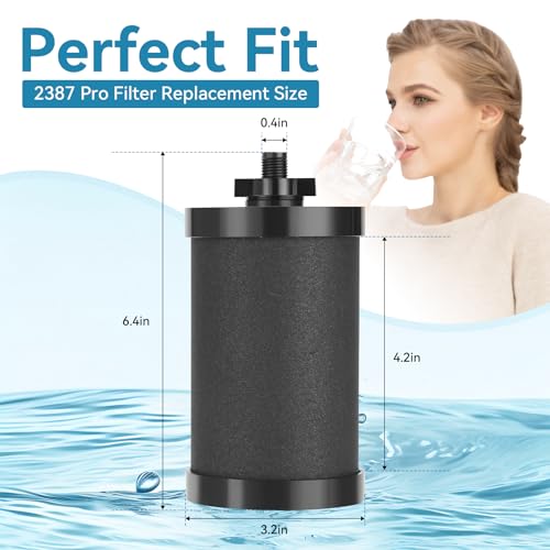 2 PCS 2387 Pro Replacement Water Filter Compatible with Alexapure - Image 3