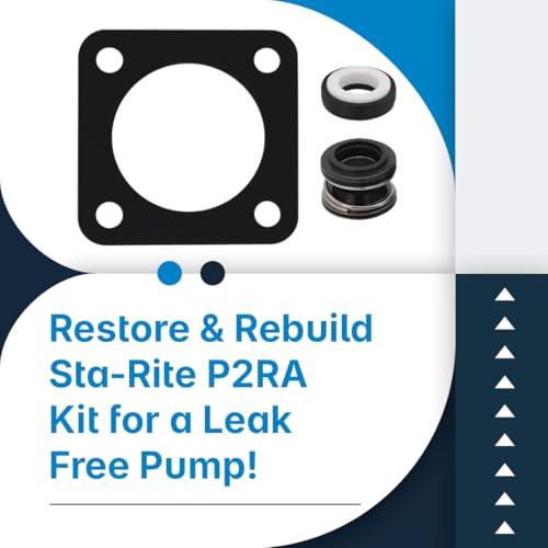 O-Ring Replacement Kit (1998 to Present) for Sta-Rite® P2RA & P2R - Image 5