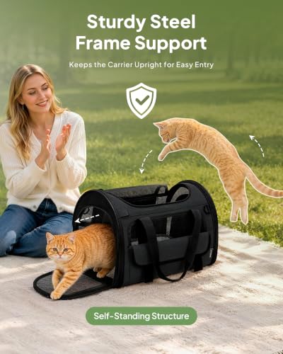 Soft Cat Carrier 17"x11"x11" Washable Pet Bag with Steel Frame - Image 5