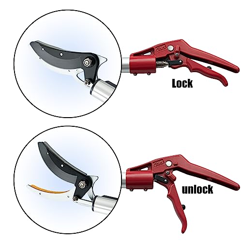 4.6-10 Ft Tree Trimmers Long Handle Pruner with Long Reach - Image 8
