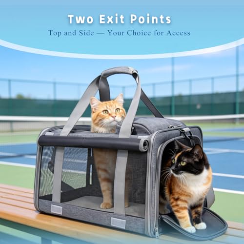Pet Carrier for Medium-Small Cats, Collapsible Cat Carrier - Image 6