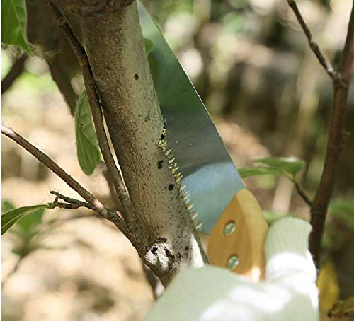 11 inch Straight Hand Pruning Saw - Image 5
