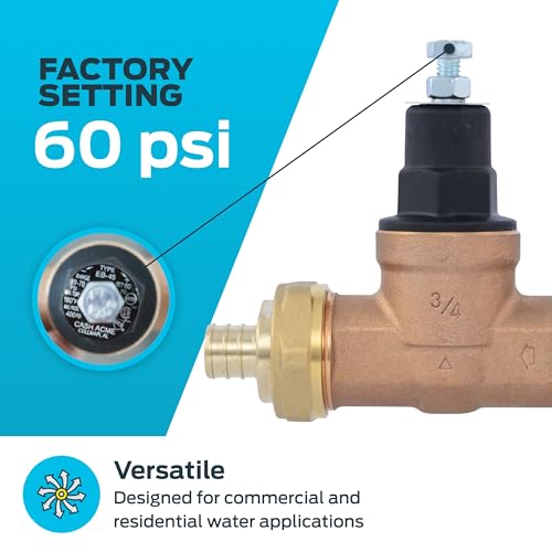 Cash Acme EB45 Pressure Regulating Valve, Double Union - Image 5