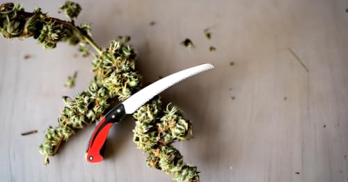 11 Inch/ 270mm Hand Pruning Saw Outdoor Camping Hand Saw - Image 7