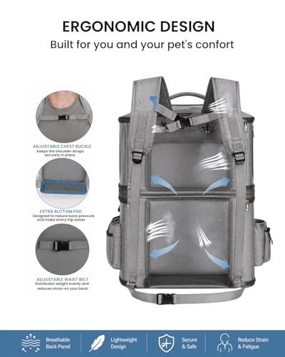 HOVONO Detachable Double Cat Backpack Carrier for 2 Pets - Image 7