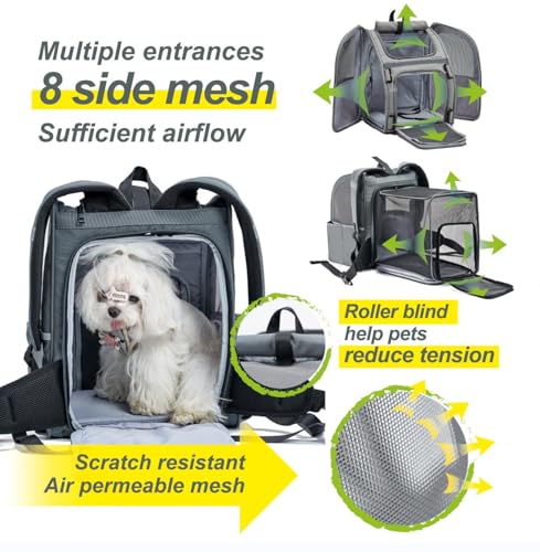 Expandable Pet Carrier, Airline-Approved | Pet Essentials - Image 5