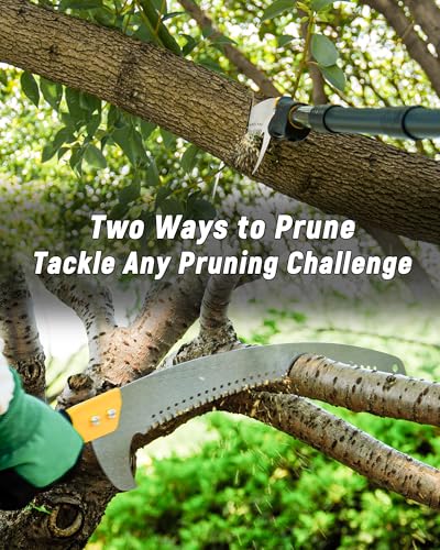 14.5FT Pole Saw with Adjustable Length for Tree Trimming - Image 7