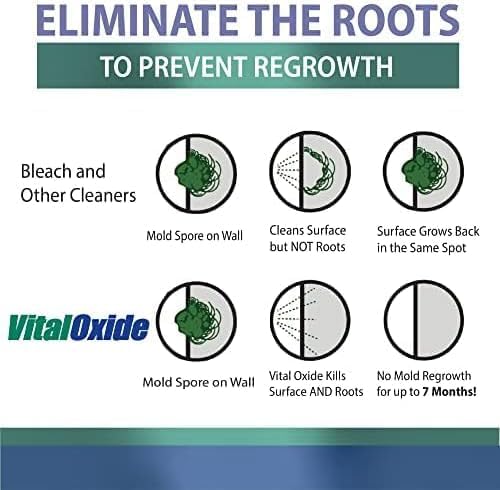 Hospital-Grade Mold Killer – Disinfects + Prevents Regrowth