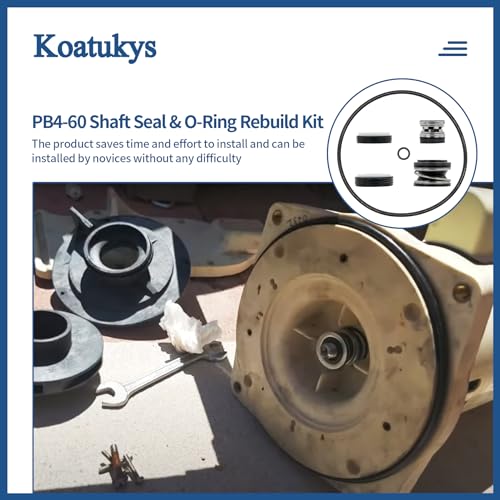PB4-60 Booster Pump Shaft Seal & O-Ring Rebuild Kit | Home Repair - Image 5