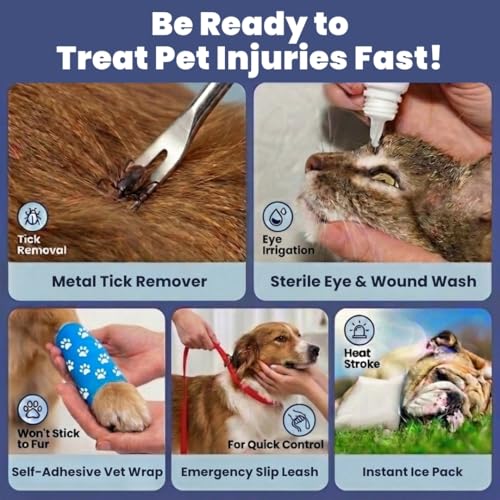 Dog First Aid Kit & Funny Vet Wrap Boys 6-Pack Bandage Bundle - Image 5