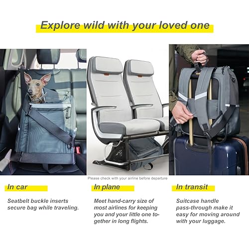 Expandable Pet Carrier, Airline-Approved | Pet Essentials - Image 6