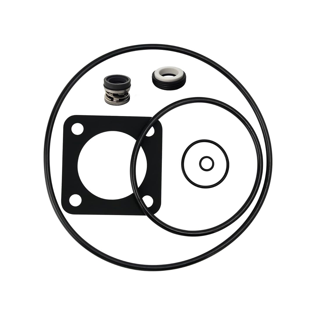 O-Ring Replacement Kit (1998 to Present) for Sta-Rite® P2RA & P2R - Image 1