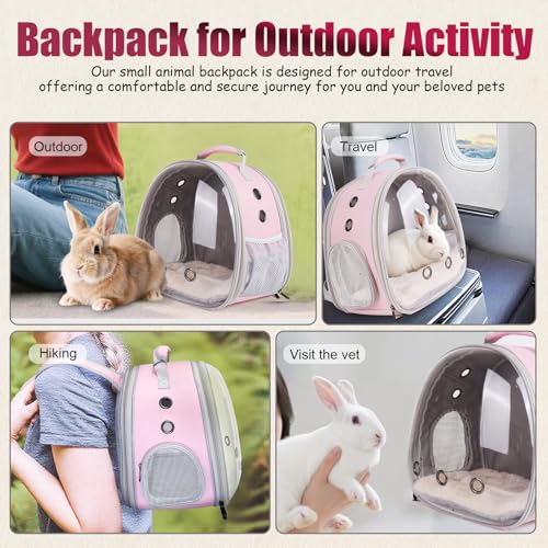 Back Expandable Backpack for Small Animals, Portable - Image 6