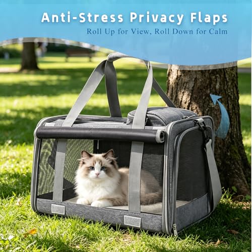 Pet Carrier for Medium-Small Cats, Collapsible Cat Carrier - Image 3