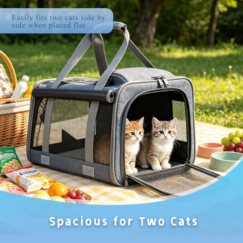 Pet Carrier for Medium-Small Cats, Collapsible Cat Carrier - Image 4