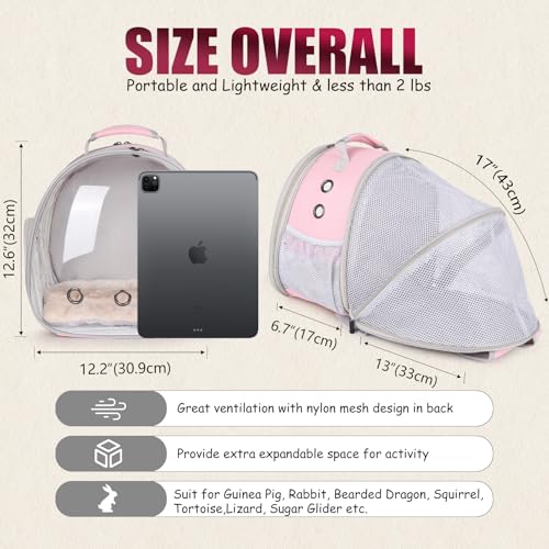 Back Expandable Backpack for Small Animals, Portable - Image 5