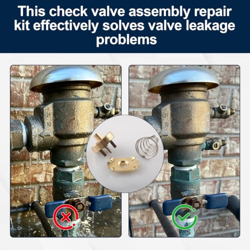 905-051 765 Check Valve Assembly Repair Kit for Febco - Image 8