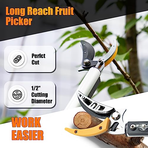 4.6-10 Ft Tree Trimmers Long Handle Pruner with Long Reach - Image 6