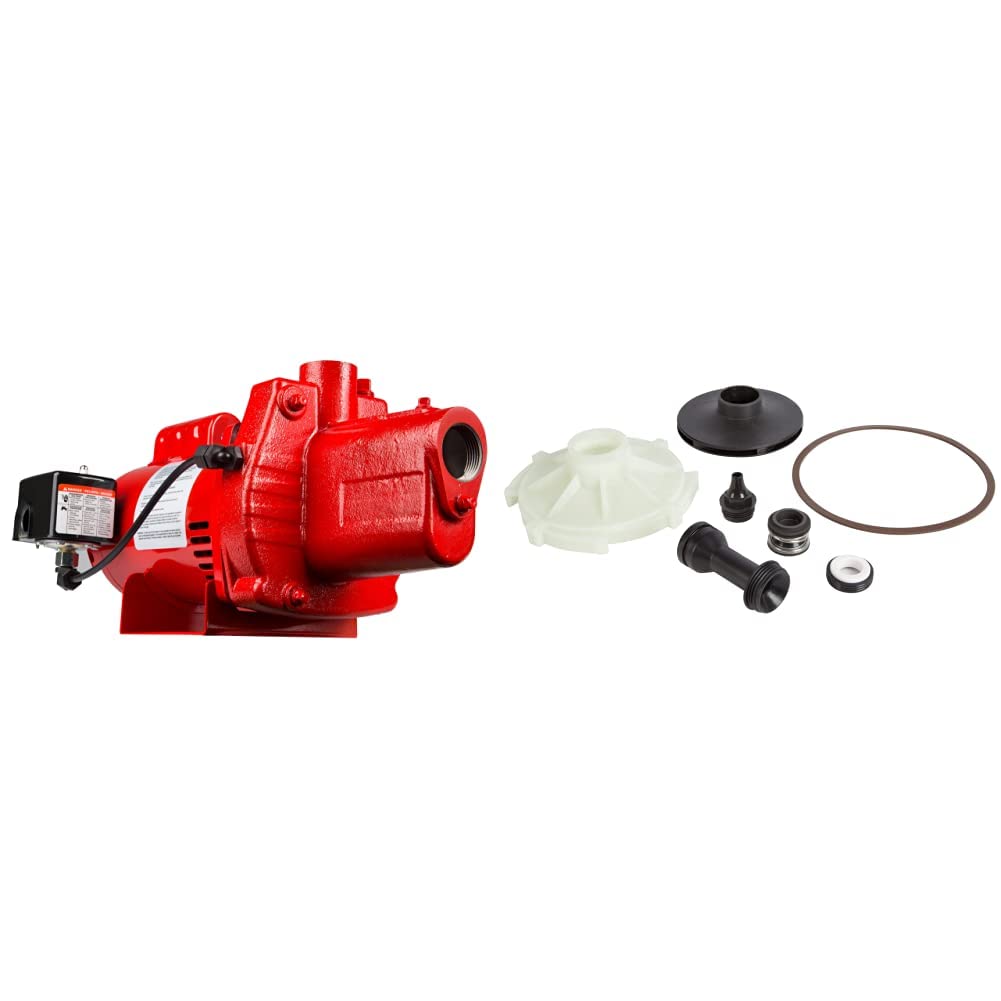 Red Lion RJS-100-PREM 1 HP, 23 GPM - Image 1