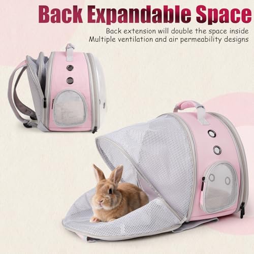 Back Expandable Backpack for Small Animals, Portable - Image 3
