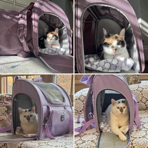 Lollimeow Cat Backpack Carrier, Large Expandable Pet | Pet Essentials - Image 8