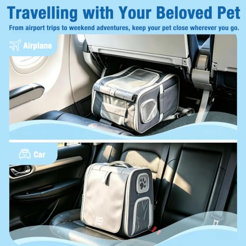 Pet Carrier Backpack with Wheels Rolling for Cats & Small Dogs - Image 6