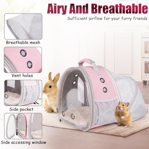 Back Expandable Backpack for Small Animals, Portable - Image 4