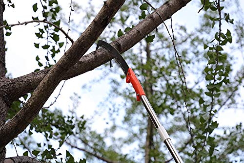 Pole Saw for Tree Trimming, Long Tree Trimmer Pole Saw 10FT - Image 3