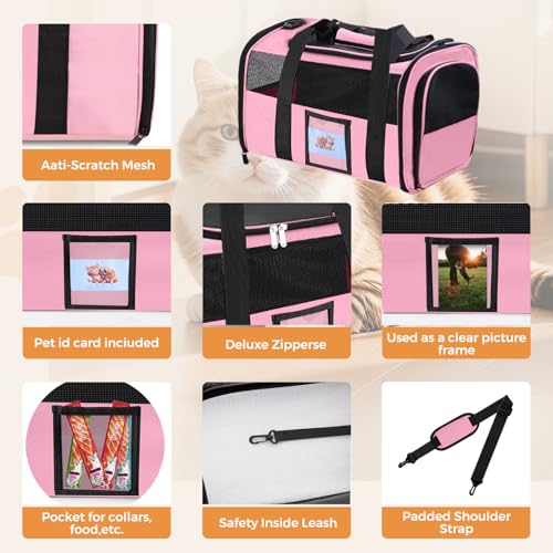 Soft Cat Carrier (Up to 16 Lbs),Small Dog Bag Soft-Sided - Image 7