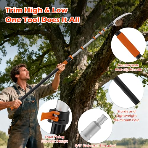 26FT Manual Pole Saw for Tree Trimming, 5-20FT Telescoping - Image 4