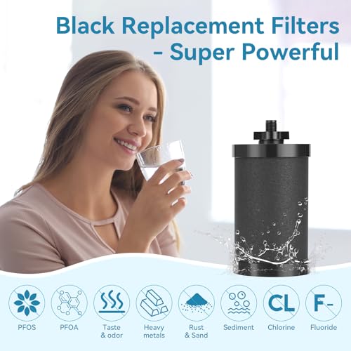 2 PCS 2387 Pro Replacement Water Filter Compatible with Alexapure - Image 7