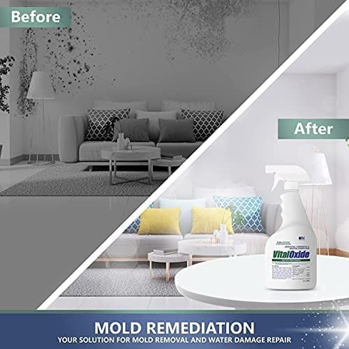 Hospital-Grade Mold Killer – Disinfects + Prevents Regrowth