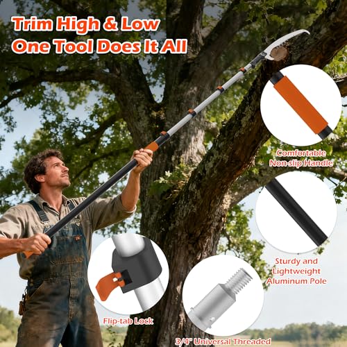 30FT Reach Pole Saws for Tree Trimming, Manual Pole Saw - Image 3