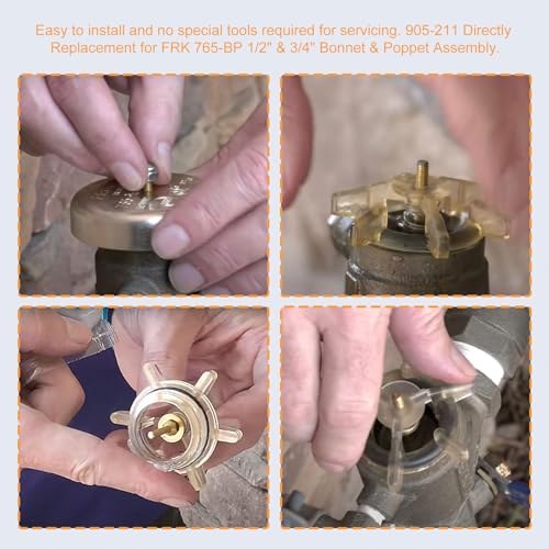 Bonnet & Poppet Assembly Repair Kit 905-211 for 765 | Home Repair - Image 6