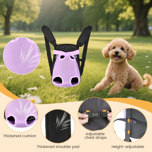 Inspack Pet Front Carrier for Small Dogs & Cats | Pet Essentials - Image 7