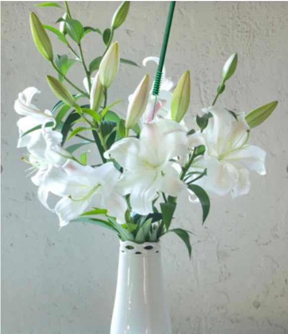 Scentsicles Lemons n Lilies Scented Sticks with 2 Scenter Stakes - 2 Bottles (12 Sticks Total) Christmas Ornament