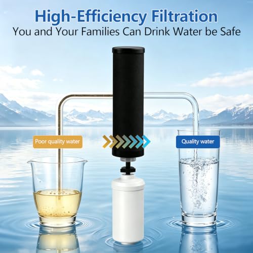 2PCS Fluoride Filter Replacement for Berkey® PF-2® Fluoride - Image 8