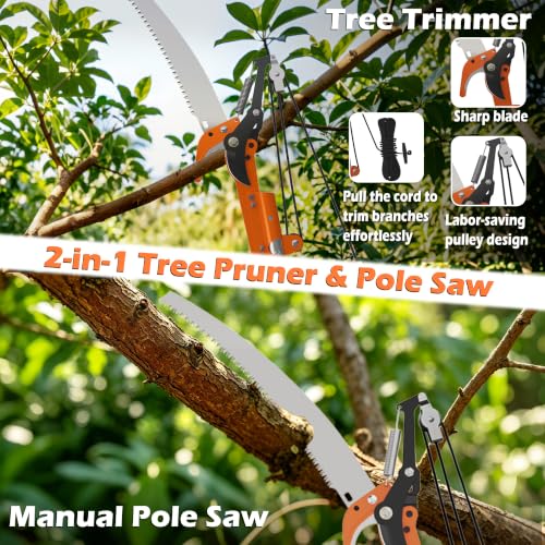 26FT Reach Manual Pole Saw, Extendable Tree Trimming Pruner - Image 4