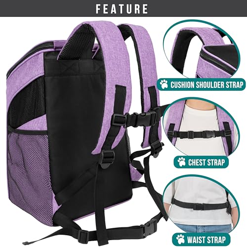 PetAmi Cat Backpack Carrier for Small Dogs and Large Cats - Image 6