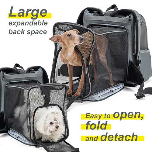 Expandable Pet Carrier, Airline-Approved | Pet Essentials - Image 4
